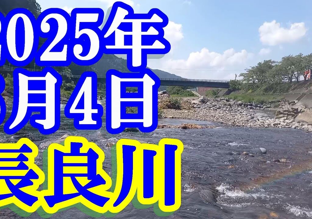 鮎釣り 10㎝高引水垢ぐされ 赤瀬橋上 白鳥大橋下  釜淵橋下 五町の瀬 長良川郡上  2025年