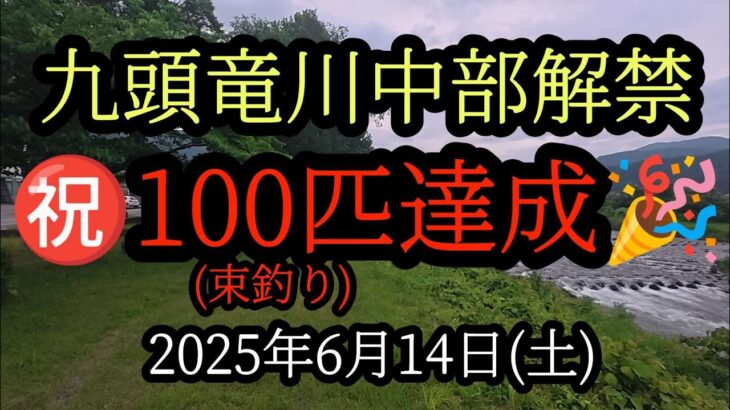 【100匹達成】九頭竜川中部解禁2025年6月14日
