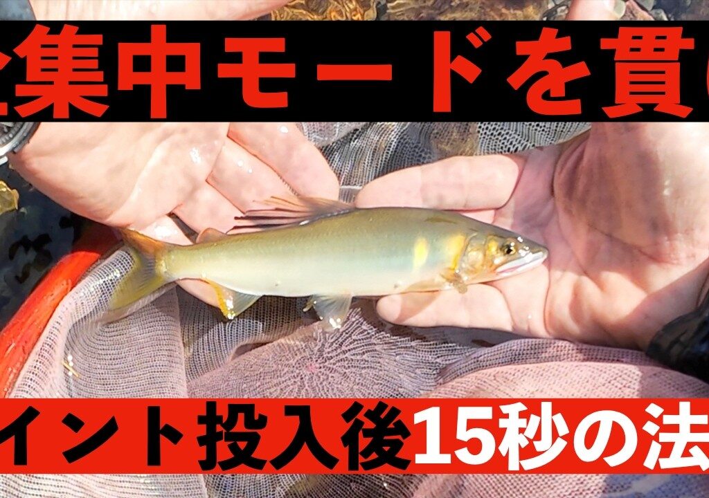 【鮎釣り】ポイント投入直後15秒の重要性！　宮崎の鮎釣り＃27　＃入れ掛かり　＃カウンターチラシ