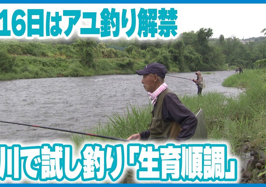 【16日の解禁前に】金沢・犀川でアユ試し釣り　釣果振るわずも生育順調