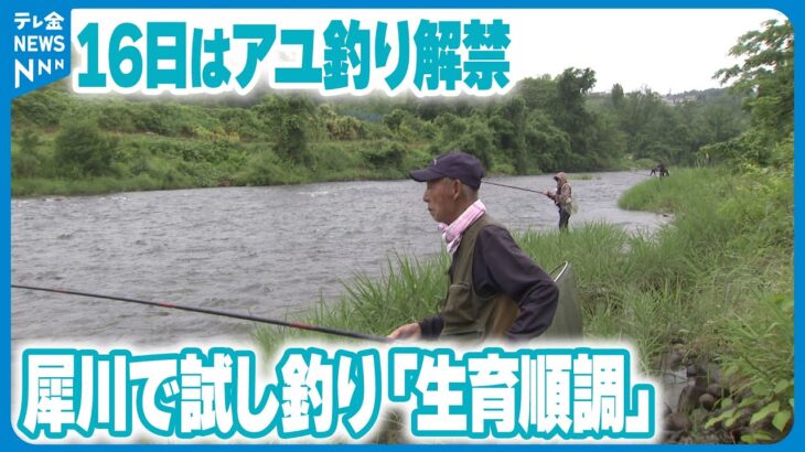 【16日の解禁前に】金沢・犀川でアユ試し釣り　釣果振るわずも生育順調