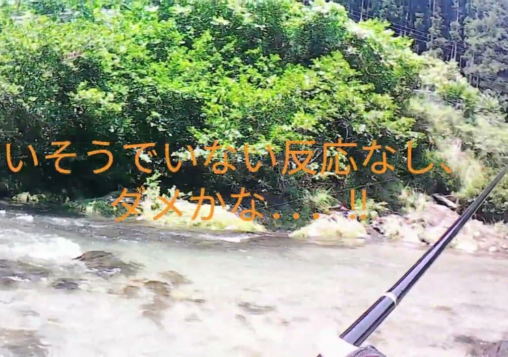 【2025年鮎釣り】　古希 じぃじぃアユ解禁　釣行(高見川)＃1