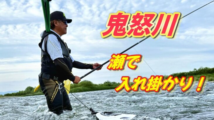 【2025鮎釣り】鬼怒川 瀬で入れ掛かり❗