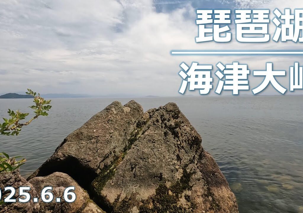 【2025年小鮎釣り】湖北・海津大崎の小鮎釣りレポート【琵琶湖】