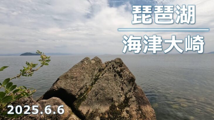 【2025年小鮎釣り】湖北・海津大崎の小鮎釣りレポート【琵琶湖】