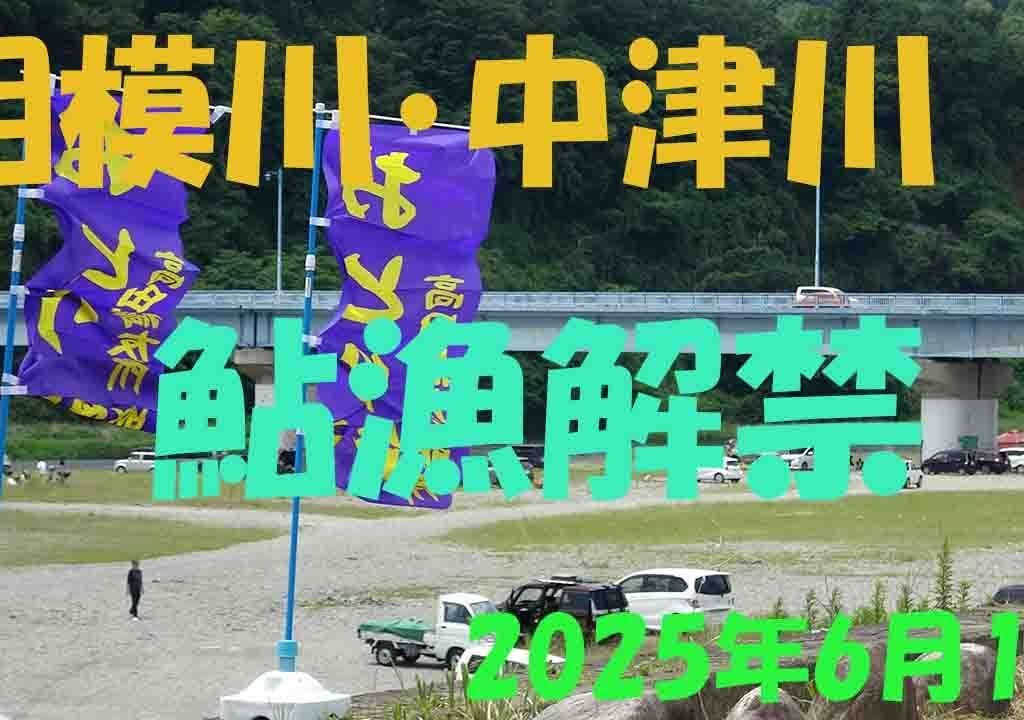 2025年　相模川・中津川鮎漁解禁日の様子を見てきました。#アユルアー  #友釣り #ドブ釣り #毛バリ #八菅橋 #上大島キャンプ場 #小倉橋 #昭和橋 #葉山島 #厚木観光 #2025年6月1日