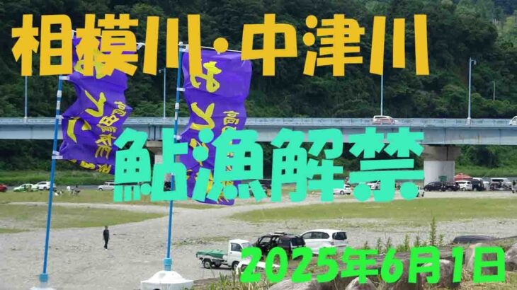2025年　相模川・中津川鮎漁解禁日の様子を見てきました。#アユルアー  #友釣り #ドブ釣り #毛バリ #八菅橋 #上大島キャンプ場 #小倉橋 #昭和橋 #葉山島 #厚木観光 #2025年6月1日