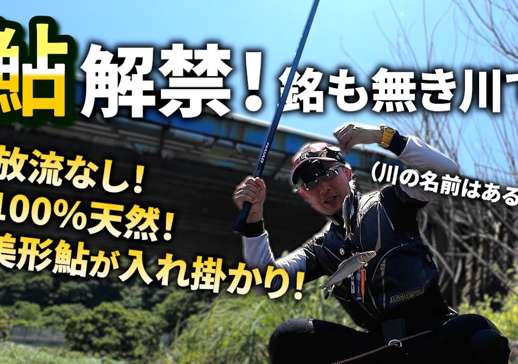 鮎釣り2025解禁！県内最速！？で美鮎の入れ掛かりを堪能してきました