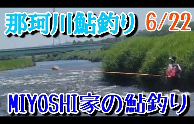 [2025鮎釣り]那珂川，烏山地区～