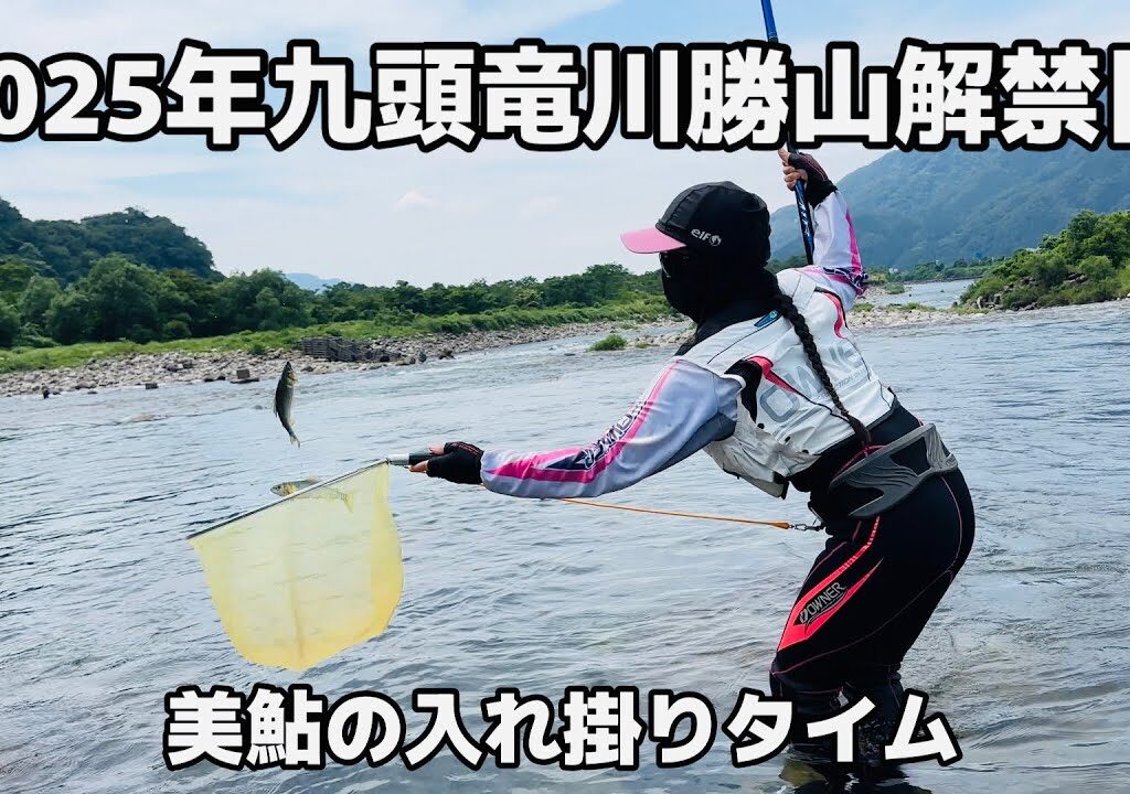 [鮎釣り] 2025年九頭竜川勝山解禁日(竹乃屋さん下流)