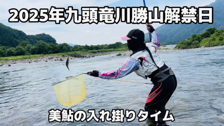 [鮎釣り] 2025年九頭竜川勝山解禁日(竹乃屋さん下流)