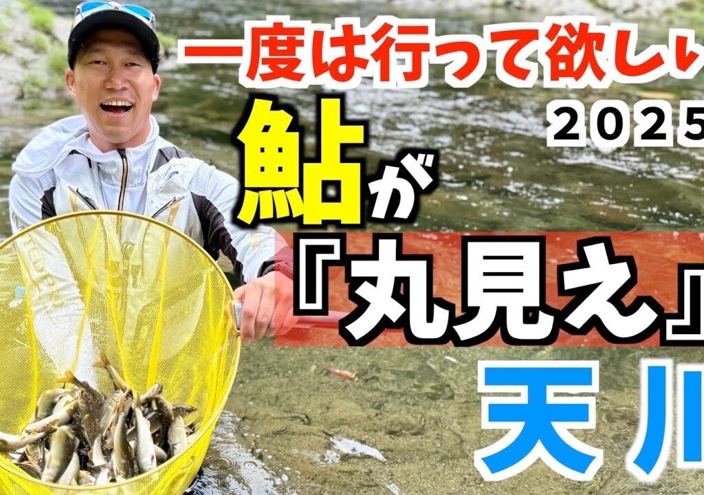【鮎釣り2025】鮎が『丸見え』の天川に一度は行って欲しい！！