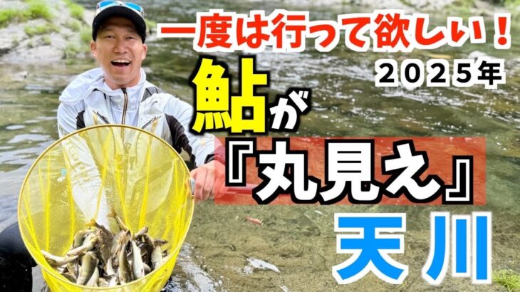 【鮎釣り2025】鮎が『丸見え』の天川に一度は行って欲しい！！