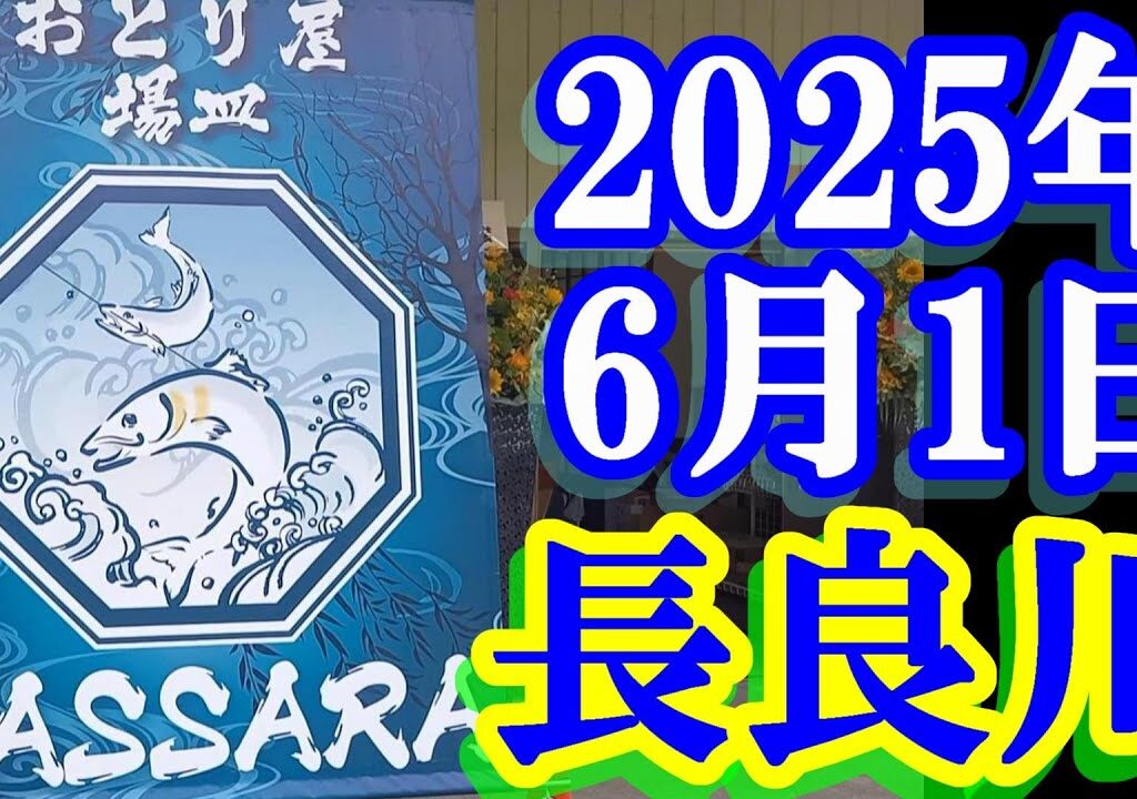 鮎釣り 平水 新中津屋大橋下 深戸 三城橋上 長良川郡上  2025年