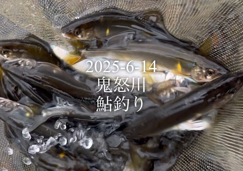 2025-6-14 鬼怒川　鮎釣り