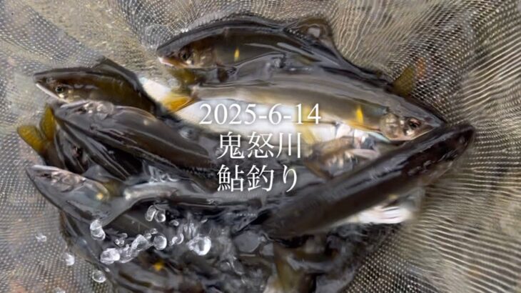 2025-6-14 鬼怒川　鮎釣り