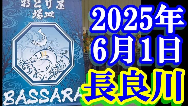 鮎釣り 平水 新中津屋大橋下 深戸 三城橋上 長良川郡上  2025年