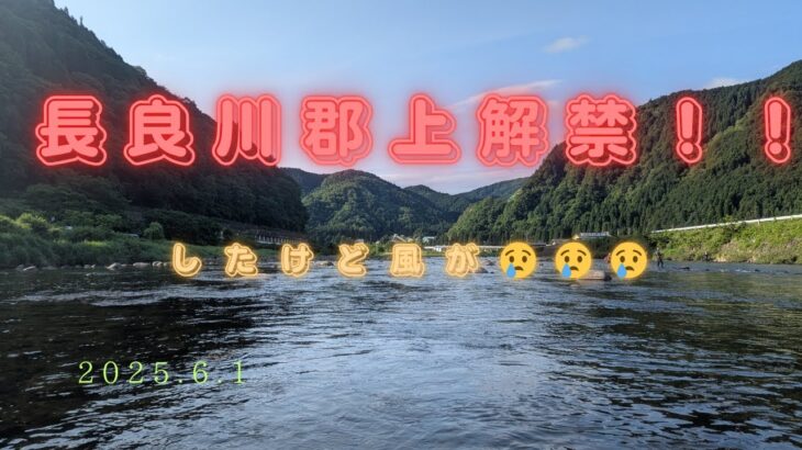 「2025長良川郡上解禁」#鮎釣り