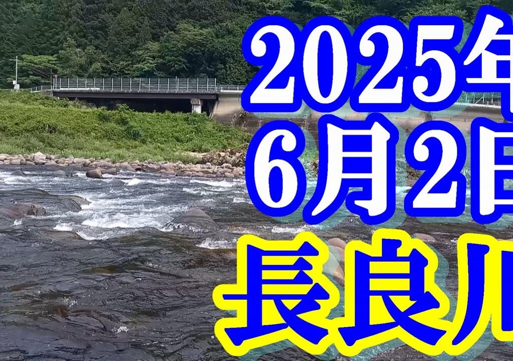 鮎釣り 平水垢ぐされぎみ カンジの瀬 中元橋上 杉ケ瀬やな下 長良川郡上  2025年