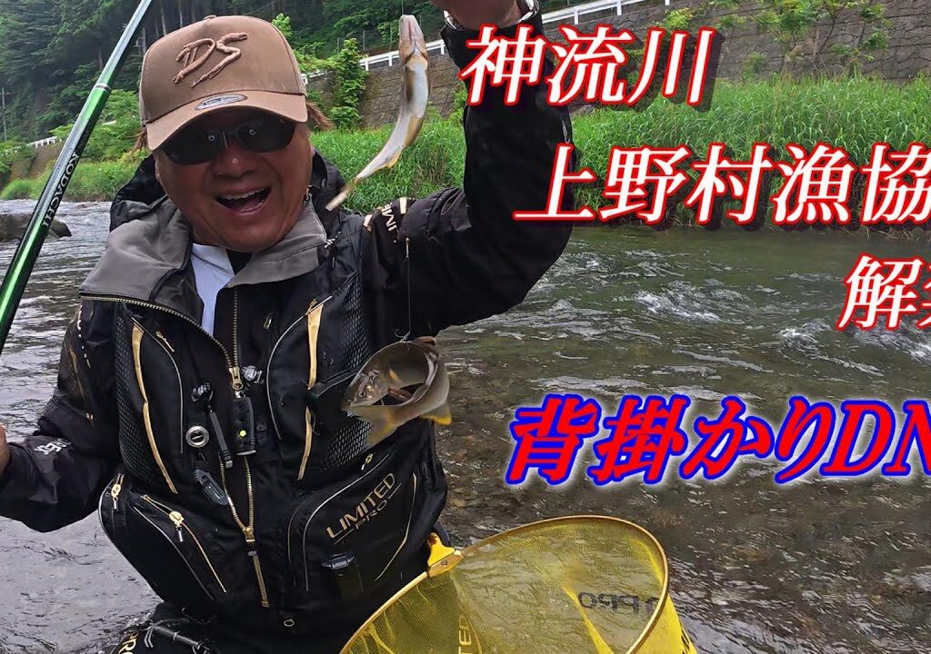 【2025鮎釣り】神流川 上野村漁協 鮎釣り解禁で話題の背掛かりDNA鮎を釣る❗