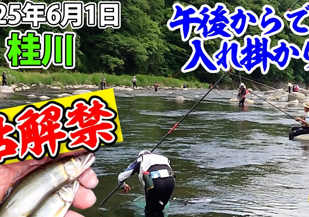 2025.6.1【桂川鮎解禁】午後からでも入れ掛かり劇場!!【鳥沢】