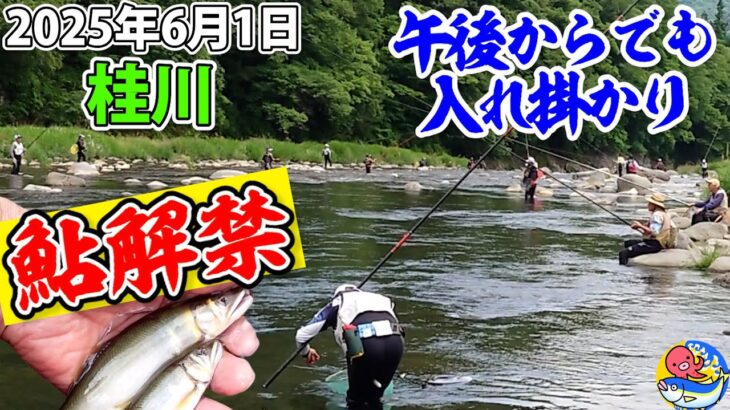 2025.6.1【桂川鮎解禁】午後からでも入れ掛かり劇場!!【鳥沢】