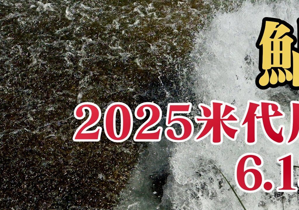 米代川で鮎釣り 2025.6.13.扇田堰堤越えと水中映像
