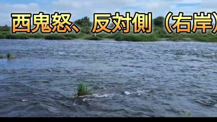 鬼怒川鮎釣り  2025.6.15  そろそろそろ釣れるようになるかな！、探ってみます！
