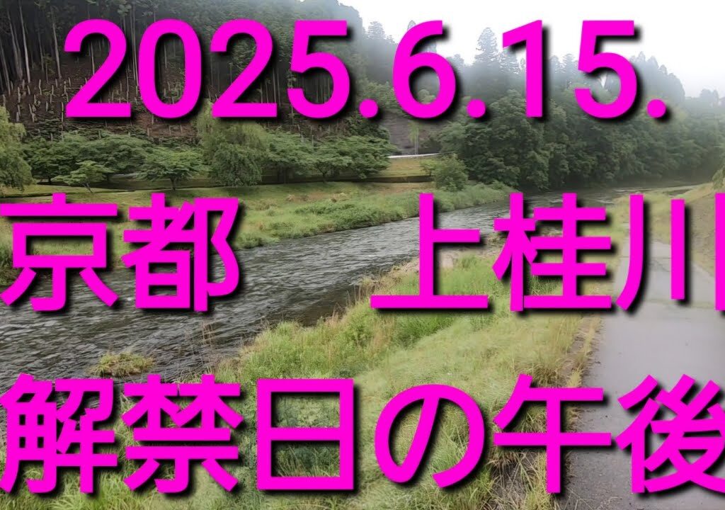 2025.6.15.上桂川の鮎解禁日　昼から（殿橋下流）