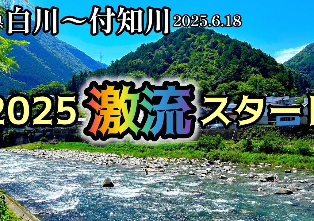 【鮎釣り】🙏設定ミスで画質が悪いです💦白川、付知川（岐阜県）｜2025.6.18（水）【友釣り】