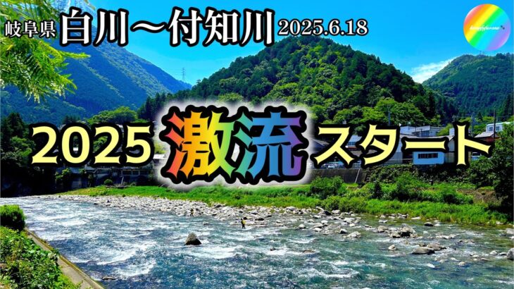 【鮎釣り】🙏設定ミスで画質が悪いです💦白川、付知川（岐阜県）｜2025.6.18（水）【友釣り】