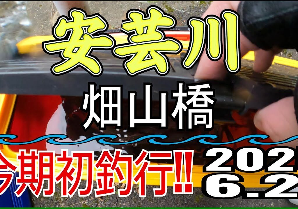 アユの友釣り 安芸川(高知県) 畑山橋 2025.6.21