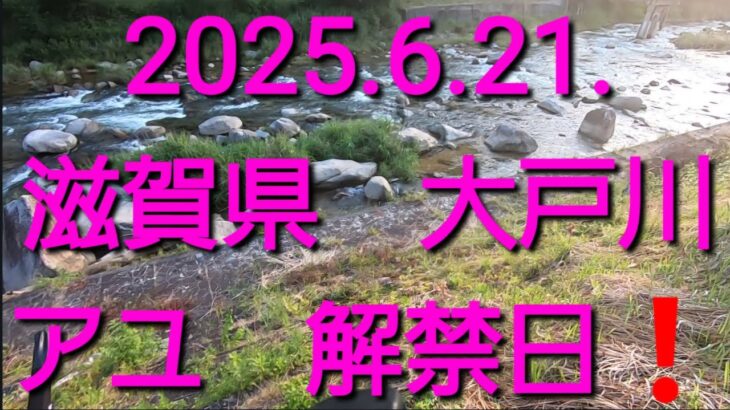 2025.6.21.滋賀県 大戸川 鮎釣り解禁❤️