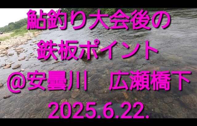 2025.6.22.安曇川 広瀬漁区 広瀬橋下の鮎釣り