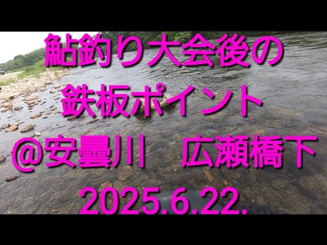 2025.6.22.安曇川 広瀬漁区 広瀬橋下の鮎釣り
