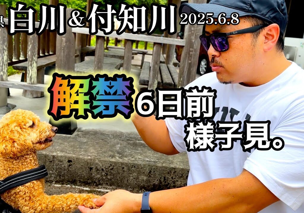 【鮎釣り】やっと年釣券を手に入れました！2025.6.8【友釣り】