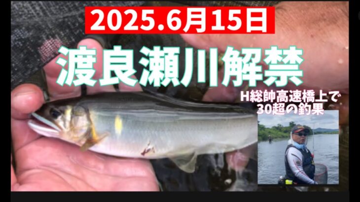 2025.6月15日.渡良瀬川解禁‼️ #釣り #鮎釣り #サンライン #サンテック #vita #渡良瀬川