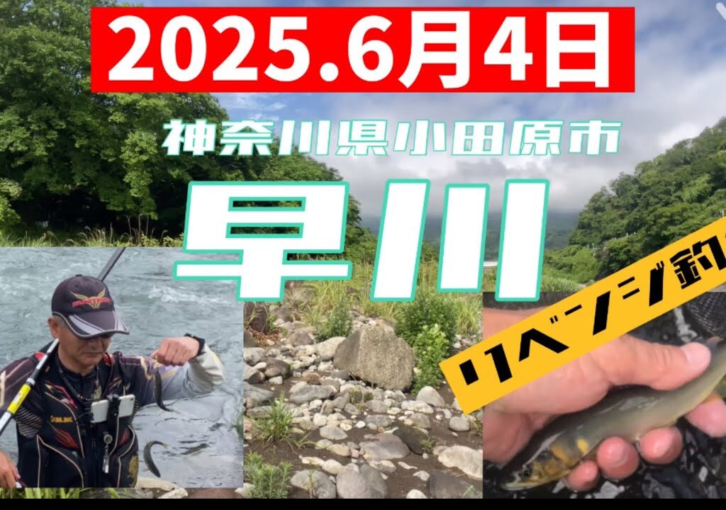 2025.6月4日.早川リベンジ釣行！　#釣り #鮎釣り #サンテック #サンライン #vita