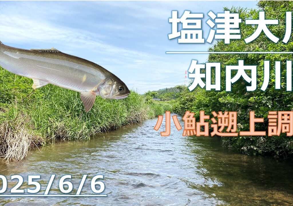 【2025年小鮎釣り】大雨3日後の遡上状況は？塩津大川＆知内川で水中調査【琵琶湖】