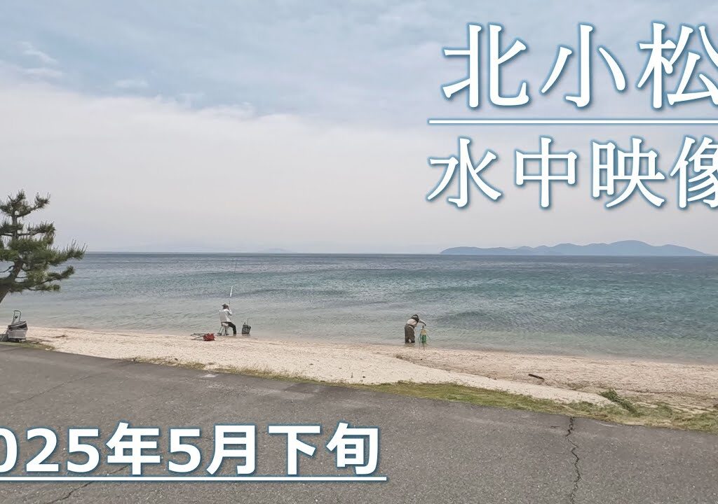 【琵琶湖・北小松】小鮎釣り＆水中映像レポート【2025年5月下旬】
