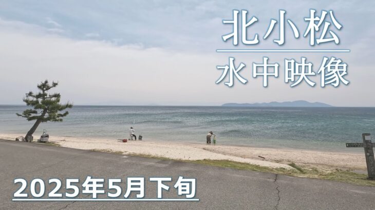 【琵琶湖・北小松】小鮎釣り＆水中映像レポート【2025年5月下旬】