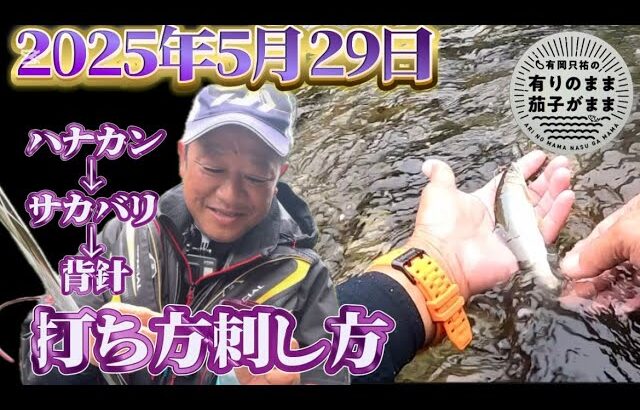 【鮎釣り】2025/5/29 高知県奈半利川支流。また雨や。。。。