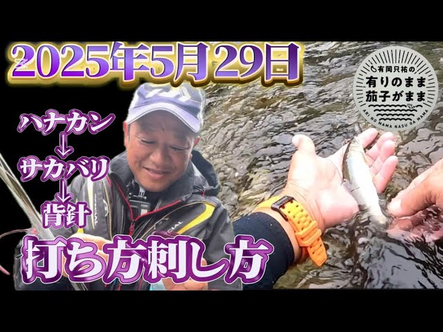 【鮎釣り】2025/5/29 高知県奈半利川支流。また雨や。。。。