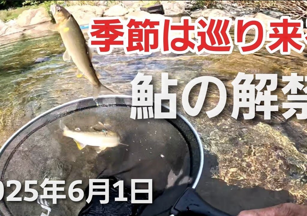 さあ、鮎の待つ清流へ！鮎釣り解禁【2025年6月1日】