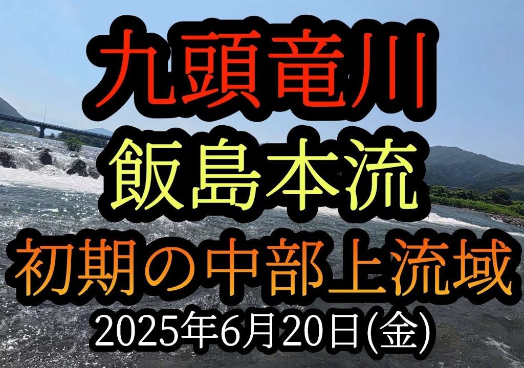 【飯島本流】九頭竜川中部鮎釣り　初期の上流域　2025年6月20日(金)