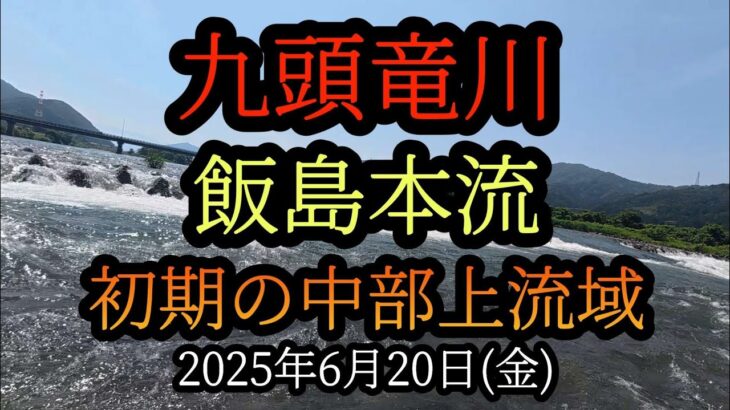 【飯島本流】九頭竜川中部鮎釣り　初期の上流域　2025年6月20日(金)