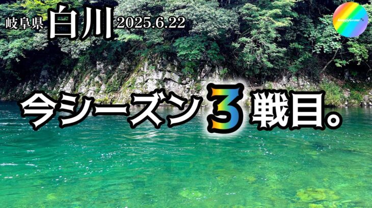 【鮎釣り2025】白川（岐阜県）｜6月22日（日）【友釣り】