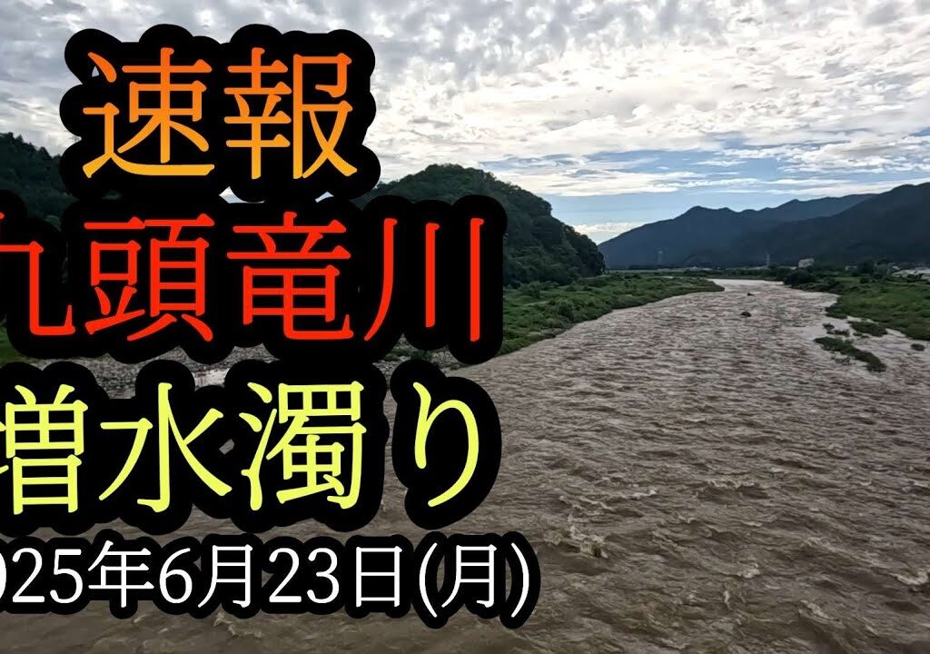 速報！【増水濁り】九頭竜川鮎釣り2025年6月23日(月)