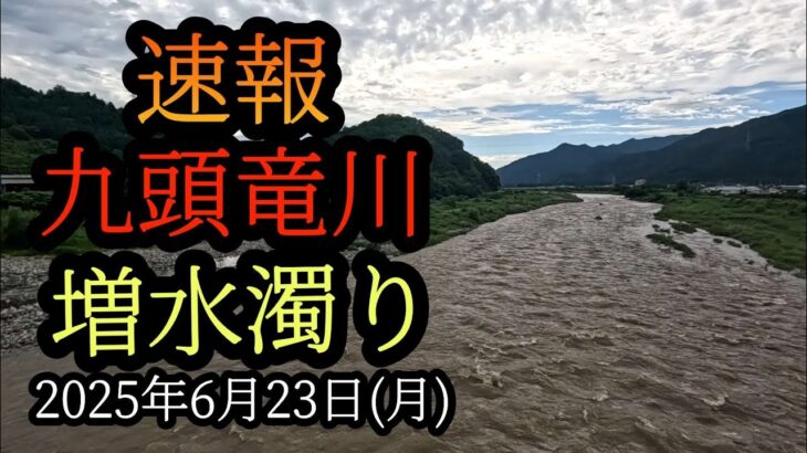 速報！【増水濁り】九頭竜川鮎釣り2025年6月23日(月)