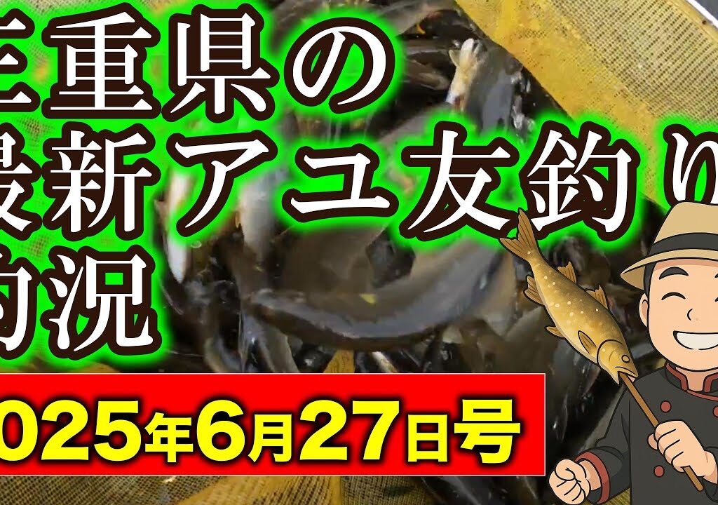 【速報】三重県のアユの友釣り釣況　最新情報2025年6月27日版